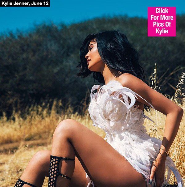 Kylie Jenner Poses In Corset Of White Feathers — Sexy New Pic